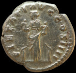 LaZooRo: Rim - AR Denarius Antonina Pija (138 - 161 AD), Pietas