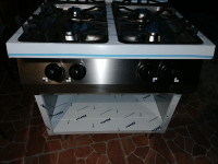 PLINSKI GOSTINSKI ŠTEDILNIK Z PEČICO ALI BREZ