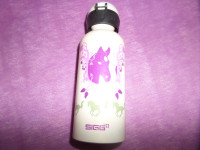 Steklenica - termo SIGG