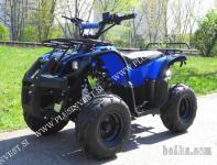 ATV 125 delovni model z nosilnostjo 120 kg - VSA MOŽNA OPREMA - L V...