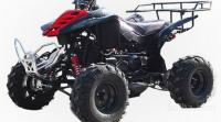 ATV 150cc RAPTOR QUAD 4 takt