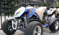ATV BASHAN 300