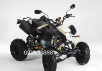 ATV BASHAN ORGINAL 200 ali 250 XXL MODIFICIRAN MODEL
