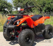 ATV ELEKTRO ŠTIRIKOLESNIK GRIZLY 800W ZA OTROKE IN ODRASLE štirikol...