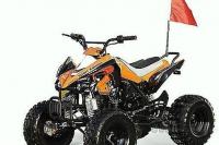 ATV KASAKI 110 ALI 125 NAJNOVEJŠI MODEL štirikolesnik quad