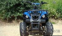 ATV MODELI 110 in 125 VSA OPREMA AKCIJE ŽE OD 380€ štirikolesnik 12...