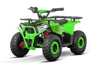 ATV Nerino 1000W Sport 48V