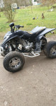 ATV SHYNERAY 250 cm3