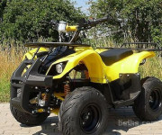 ATV ŠTIRIKOLESNIK GRIZLY 800W 48V OTROKE IN ODRASLE