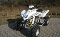 Dinli 450cc DL 904 XXL SPORT