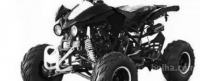Mini Moto 125cc Panthera QUAD ATV 7zoll Automatik+vzvratno