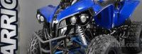 Mini Moto 125cc XXL Quad Warrior