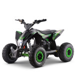 OTROŠKI ELEKTRIČNI ŠTIRIKOLESNIK Roughrider 1000W