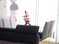 Prodam štiri kuhinjske bele stole