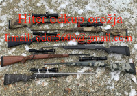 Hiter odkup orožja.