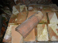 korci