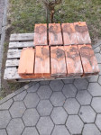 Opeka bobrovec