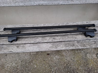 Thule streṣ̌ni nosilci .