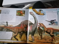 ANIMALES ASESINOS