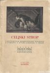 Celjski strop : umetnostno zgodovinska studija France Stelè