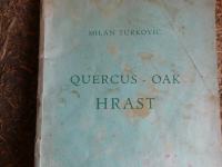 Quercus- OAK- Hrast