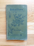 Schulflora für die österreichischen Sudeten- und Alpenländer, 1900