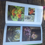 SOBNE RASTLINE  - GEORGE SEDDON