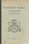 Synodus prima : archidiocesis Goritiensis