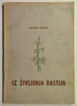 Iz življenja rastlin / Anton Fakin, 1951