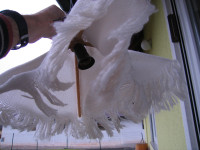 Luč stropna, "lestenec"