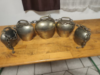 Zvonci za kurentijo (14)