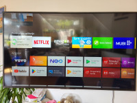 Sony Bravia 55XG8096