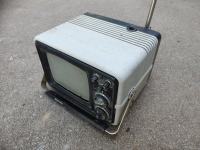 Star prenosni TV
