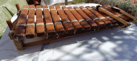 ksilofon iz tropskega lesa