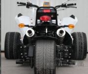 Access Motor trikolesnik SPORT FAST DRIVER 250CC