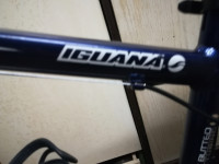 KOLO GIANT - IGUANA - SHIMANO OPREMA