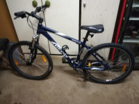KOLO GIANT IGUANA  26 COL - SHIMANO OPREMA