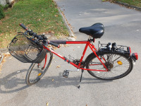 ROG Mountain bike letnik 1988