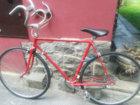 sportno kolo