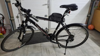 Treking kolo Cult L53