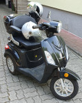 TRIKOLESNIK primeren za invalide, ECO 380 ELEKTRIČNI 800 cm3,