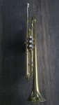 Trobenta CAROL BRASS