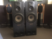 Celestion Impact 40 - odlični za rock