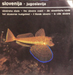 Slovenija-Jugoslavija-slovenska obala odlično ohranjena brošura 25x25