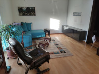 Stenska televizijska omarica