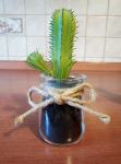 dekorativni kaktus 14X5 cm (2X)