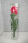 Umetna vrtnica v etuiju višina 25 cm
