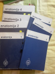 Anatomija modra skripta 1