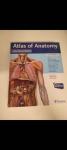 latinska nomenklatura - atlas of anatomy