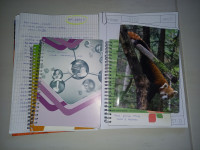 ZAPISKI za smer TEHNIŠKA VARNOST na FKKT ZA 2. LETNIK